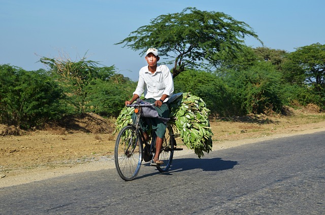 Miljøvenlig transport: Brug din cykelkurv til at mindske dit CO2-aftryk